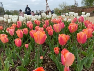 RHS Bridgewater